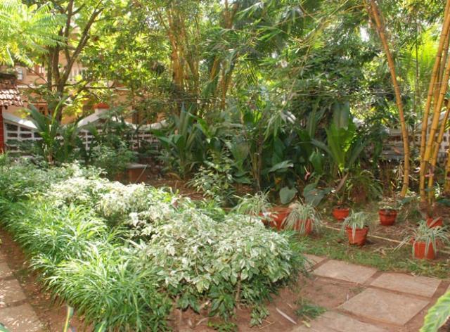 Pinto Guest House Кандолим Экстерьер фото